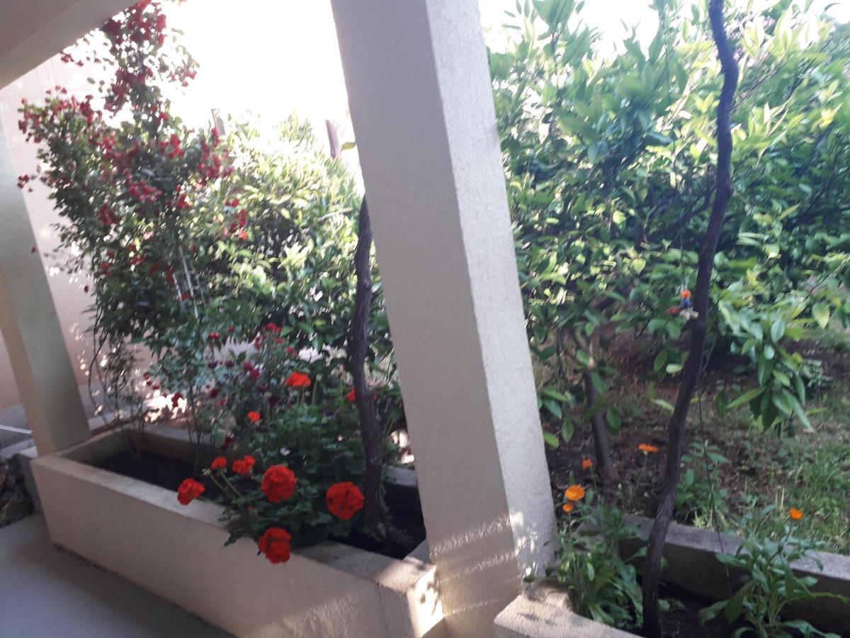 Apartments Petkovic Petrovac Dış mekan fotoğraf