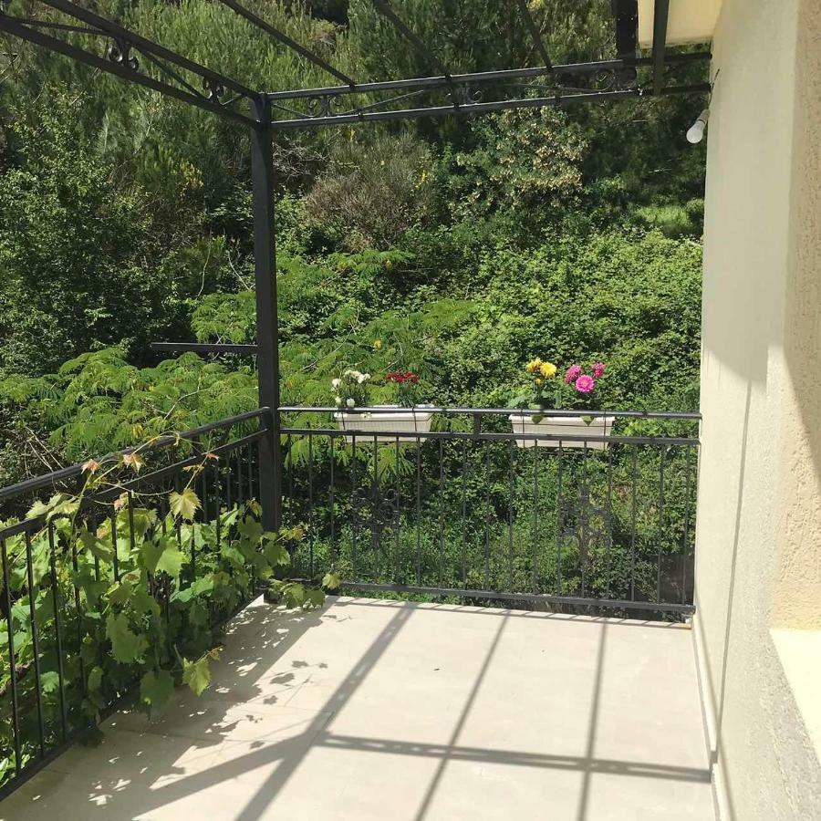 Apartments Petkovic Petrovac Dış mekan fotoğraf