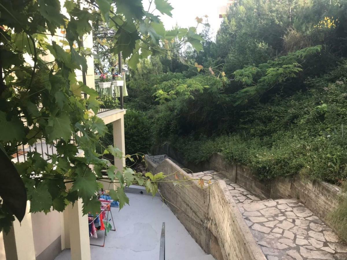 Apartments Petkovic Petrovac Dış mekan fotoğraf
